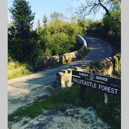 The Forest Chalet - Stunning Studio Apartment Ballycastle Bagian luar foto